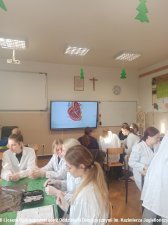 2023.10.04 - Praktyczna biologia w 3c